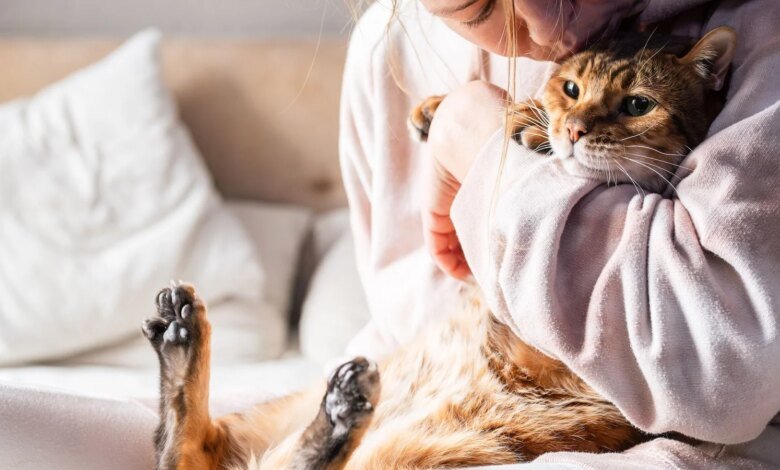 Owning A Cat Will Change Your Brain. Here's How. 1 1760282714 SD7sP3pkbZnygKkwUX8Wgc 1920 80