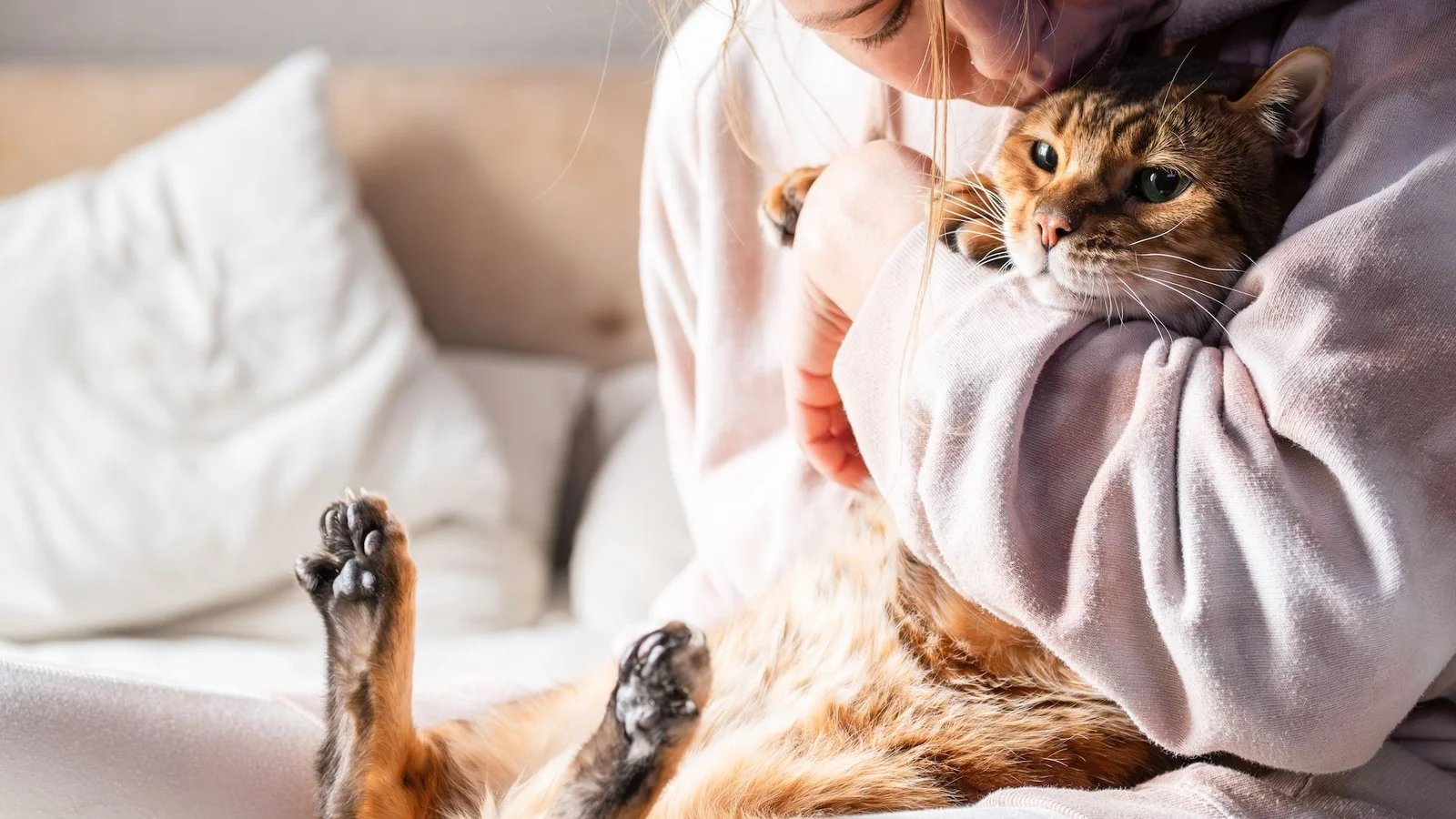 Owning A Cat Will Change Your Brain. Here's How. 4 1760282714 SD7sP3pkbZnygKkwUX8Wgc 1920 80