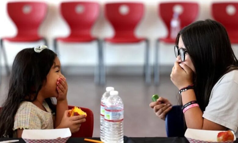 Newsom Signs First-in-Nation Law To Ban Ultraprocessed Food In School Lunches – The 74 1 1760282732 los angeles lunches gavin newsom 825x495