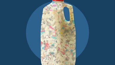 Scientists Have Found Microplastics In Milk And Cheese 1 1760282938 1760265861 Microplastic milk dairy products FT DGTL1025 8c0c824399a94d75953edf5fa10a181f