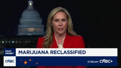 108243947 17660984311766098428 43053524434 1080pnbcnews