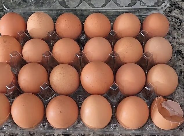Husbands Fury After Discovering Wifes Infuriating Egg Habit - And Hes Not Alone Divorce Is Imminent 1 1766717333 104987317 15410403 image m 4 1766532103045