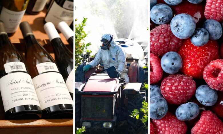 1766777372 The Year in Food Policy FT DGTL1225 f4f97e4d1f8a40538e5b4cc7385d12ed