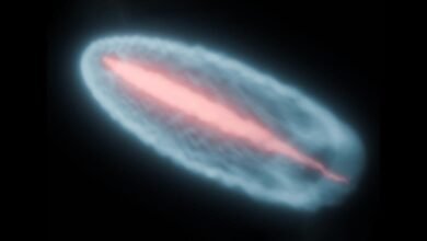 Plasma Beam Simulation